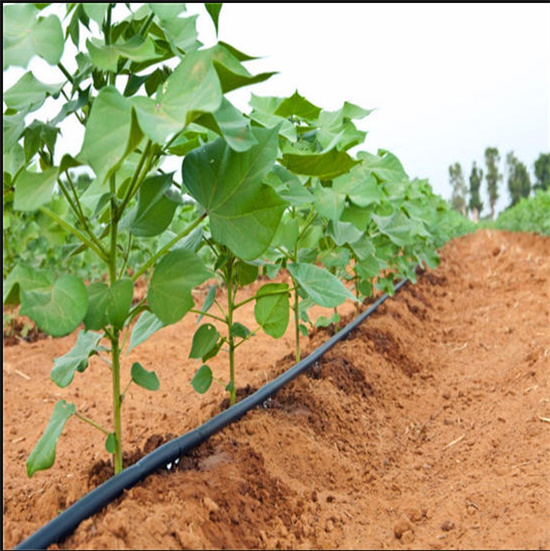 節(jié)水灌溉 節(jié)水灌溉